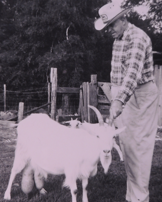M.A. Fortune with his prize goats
