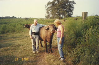 Johnny and Faith leaning on a water buffalo