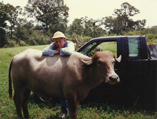 Johnny leaning on a water buffalo