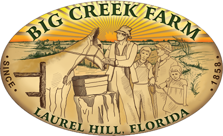 Big Creek Farm Florida